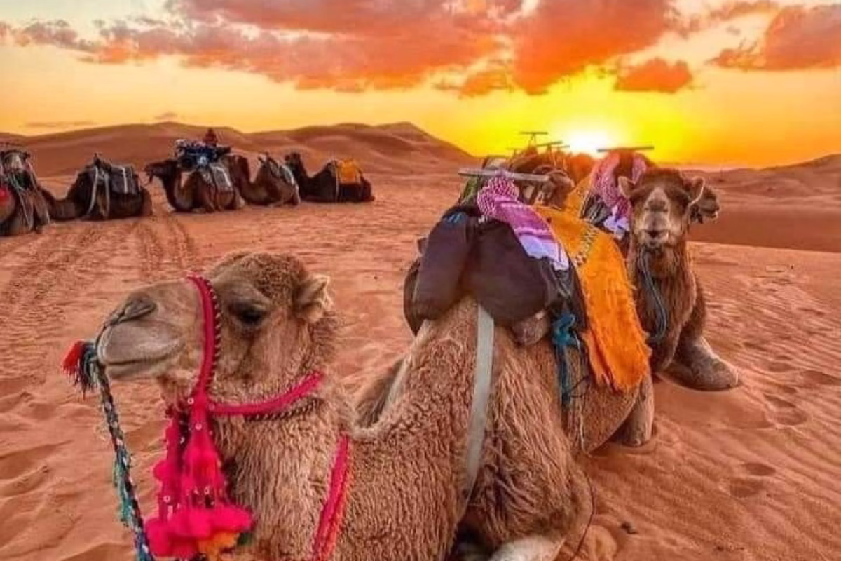 Morocco desert tour itineraries