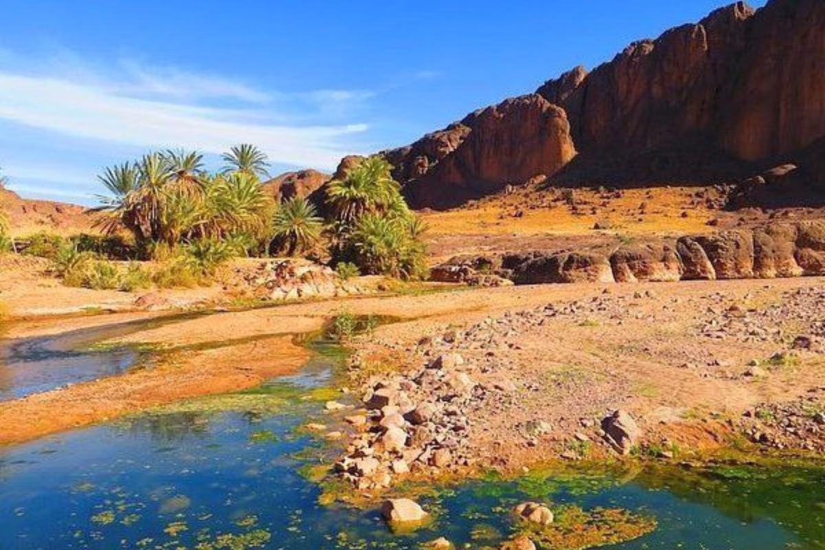 Tours from Agadir