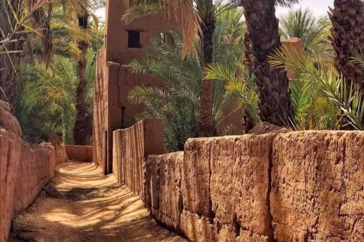 Tours from Agadir