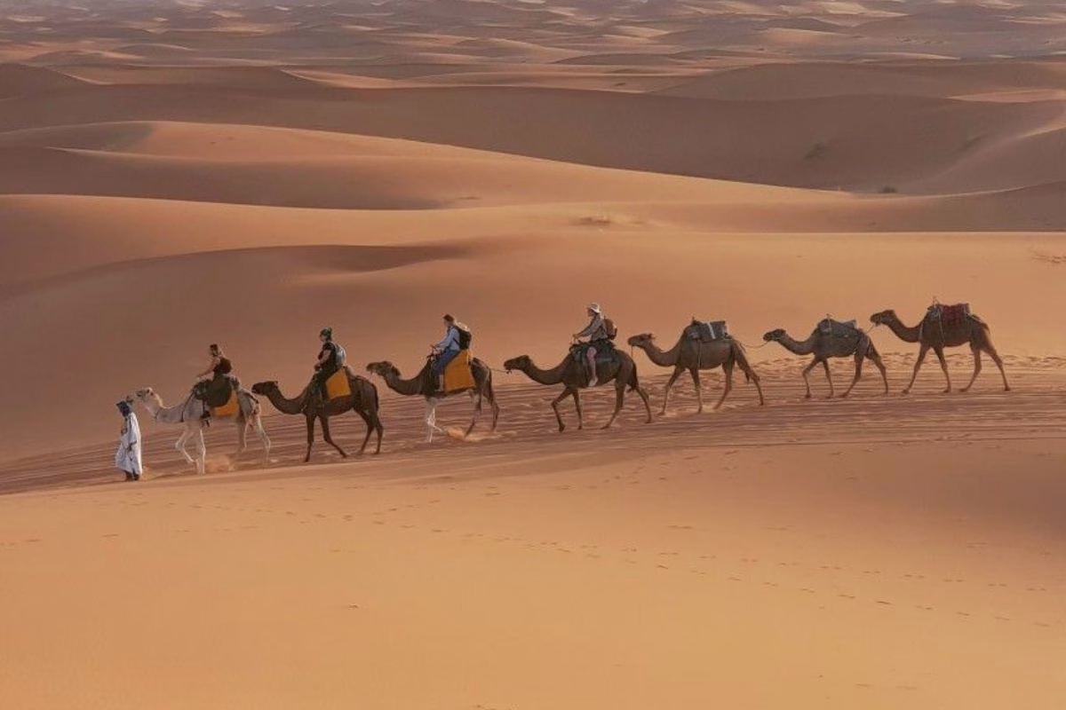 Tours from Agadir