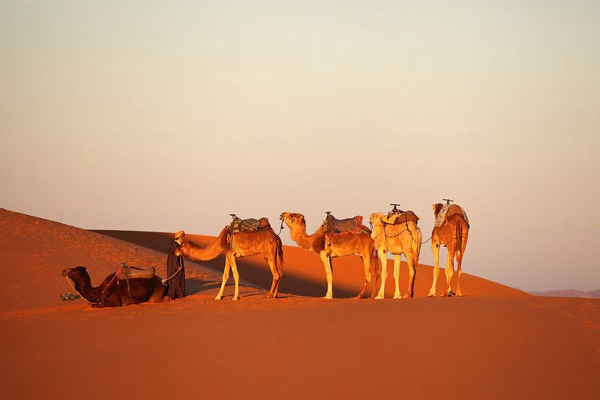 Agadir to Erg Chigaga desert tour