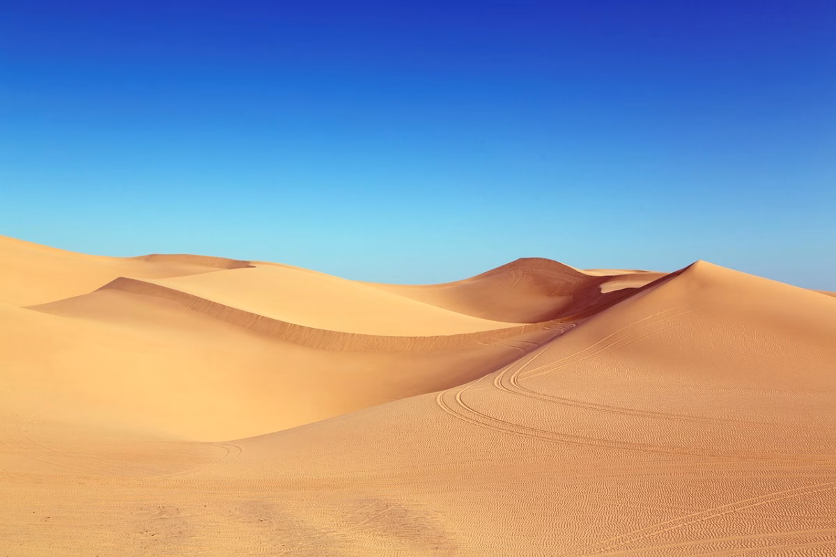 Desert Tours from Casablanca