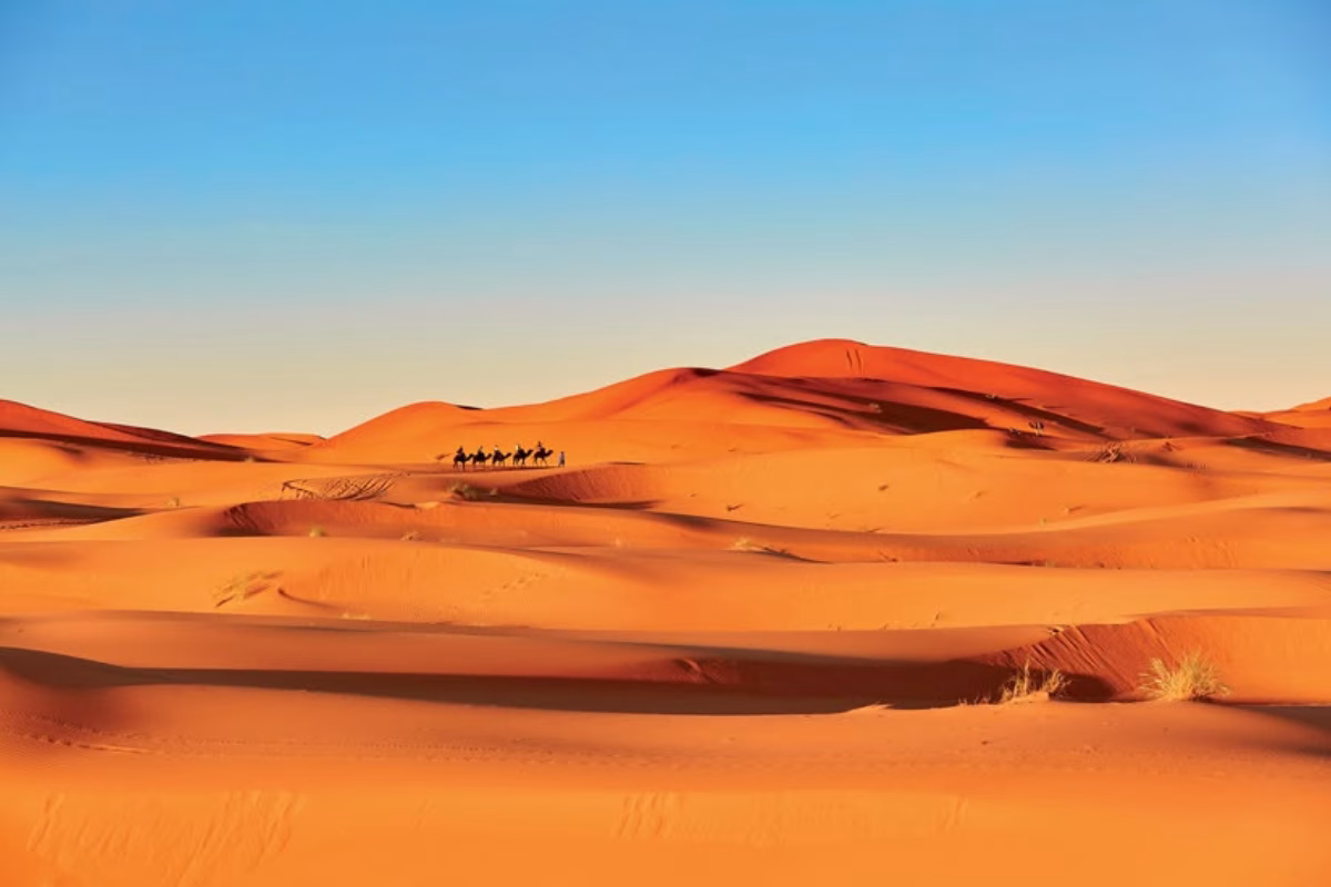 Amazing 6-Day Casablanca to Marrakech via Merzouga Tour
