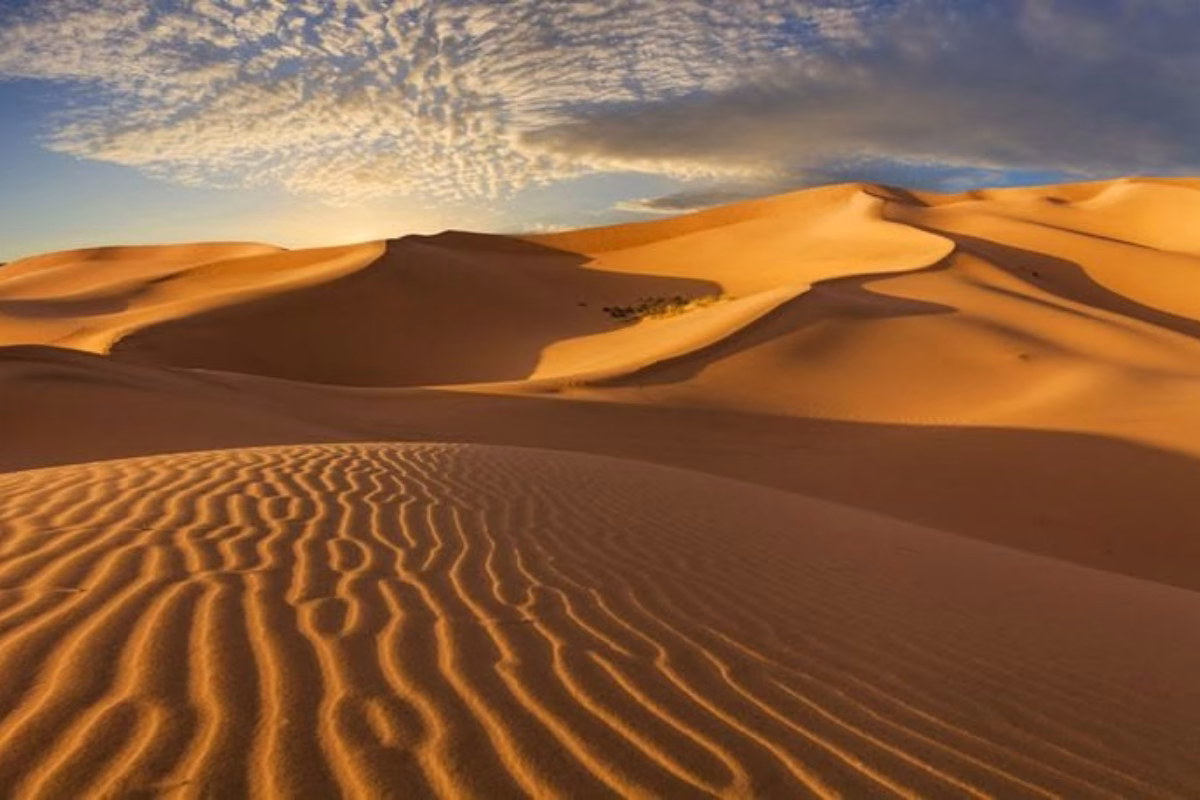 Authentic Sahara Desert Experiences Morocco 2026 — Complete Guide to Camel Treks & Luxury Desert Camps