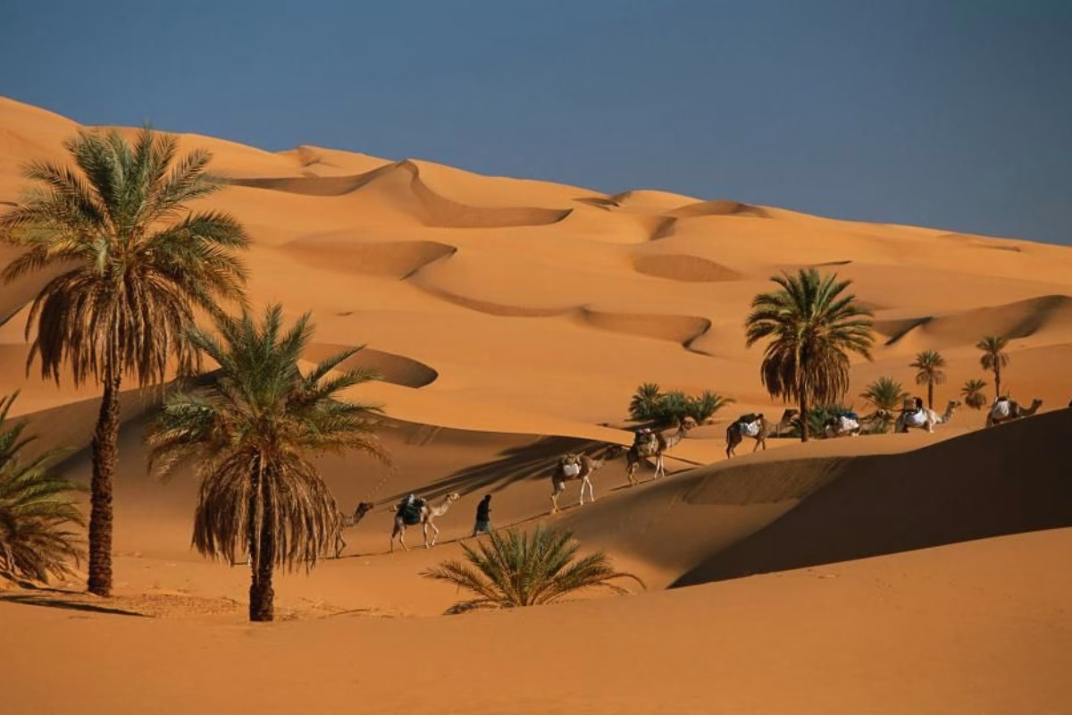 Fes desert tours