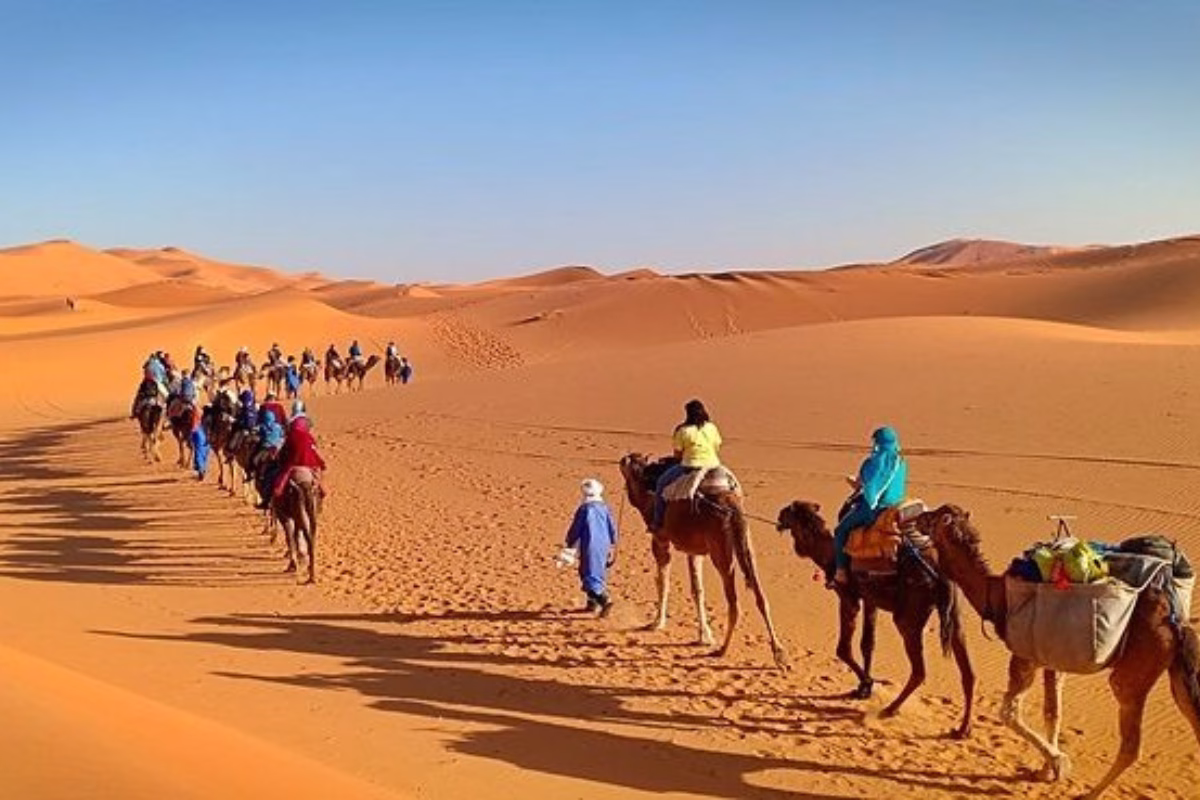 Ziz Valley Tour